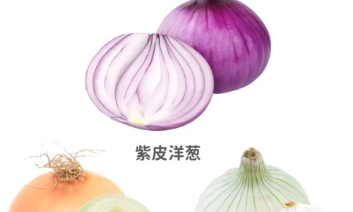 按摩器的功效和作用网 - 按摩器的功效和作用是什么,按摩器的功效和作用是什么